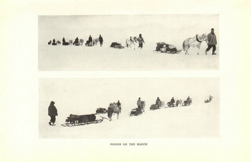 Scotts last expedition - last, 1913
