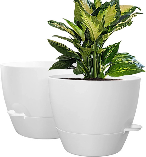 Large plastic plant pots - large, in