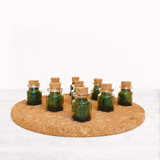 The Tiny Moss Terrarium - Tiny Enclosed Ecosystem Gifts, Weddings, Baby Showers