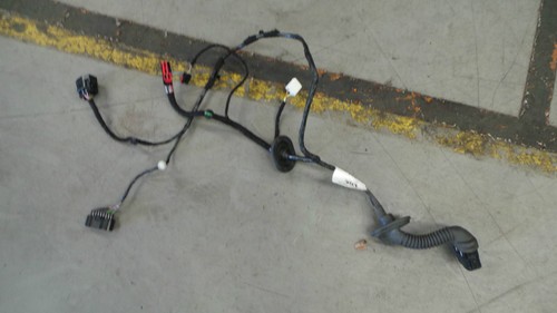 Ford focus wiring loom - focus,