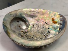 VINTAGE NATURAL ABALONE SHELL