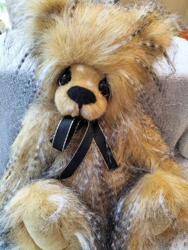 Kaycee bears turner 15 - bears, 5/15