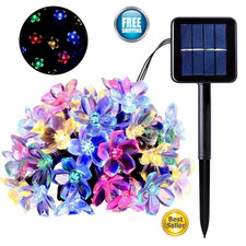 Solar Cherry Blossom Light
