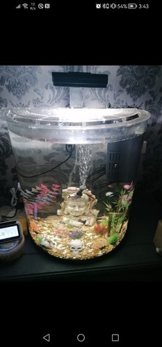 Fish tank litre tetra full - tank,