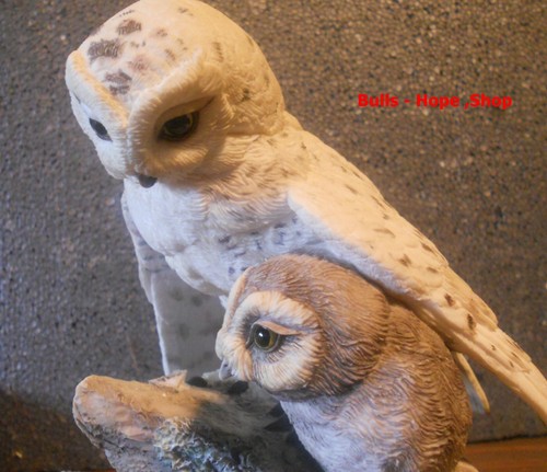 Snowy owl with boys - snowy,