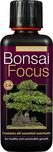Ltd bonsai focus feed - focus,