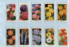 W. D & H. O. WILLS CIGARETTE