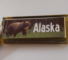 Alaska Bear Souvenir Namesake Derek Blinking Solar Powered Keyring Accessory