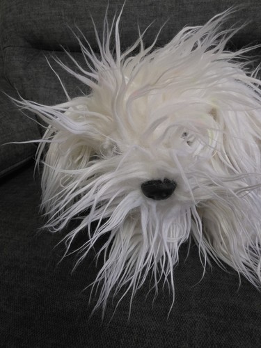 Dulux dog toy - dulux,