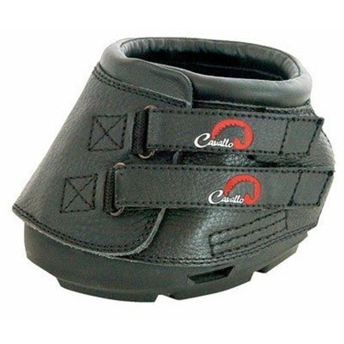 Cavallo simple horse - cavallo,