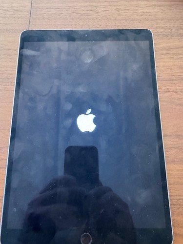 Apple ipad pro 256gb - pro, wi-fi