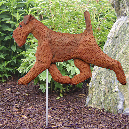Irish terrier dig - irish,