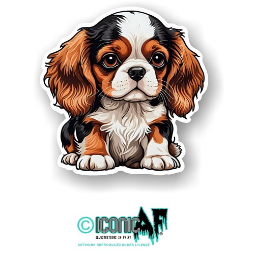 Cute cavalier king charles - cavalier,
