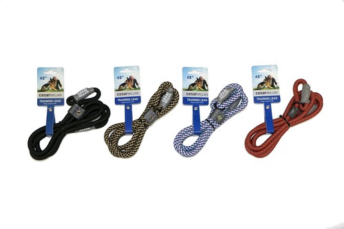 Cesar millan slip lead - cesar,