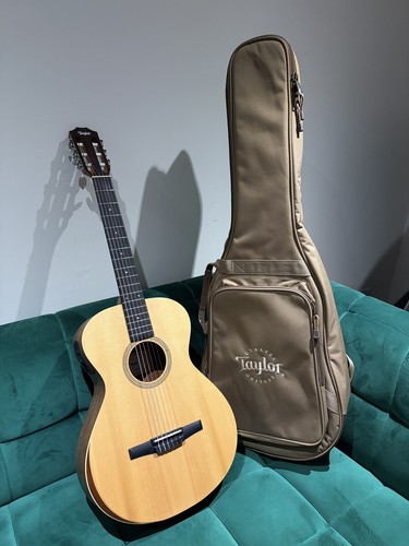 Taylor 12e nylon string - taylor, 12e-n
