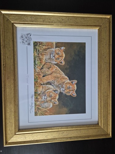 Stephen gayford wildlife art - stephen,