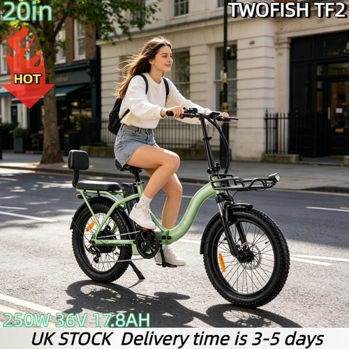 Folding electric bike 250w - bike,