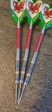 Gary Anderson 21g Darts
