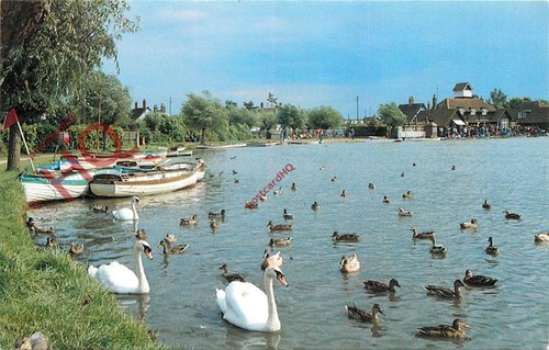 Picture postcard thorpeness - picture, postcard:-thorpeness