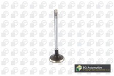 Inlet Valve for Land Rover