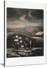 The Snowdrops 1807 Framed Canvas Print, Pictures for Home Walls Decor