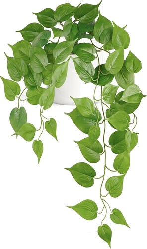 Fake hanging plants with - plants,