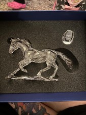 Swarovski Crystal SCS Annual