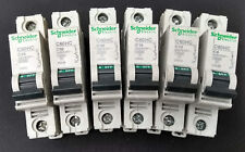 Schneider C60HC S.P MCB's 63A