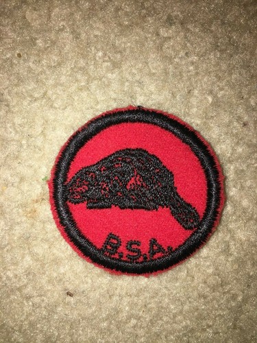 Boy scout bsa beaver - scout,