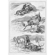 DEER STALKING - Antique Print 1884