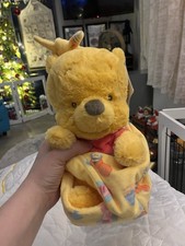 Disney Babies Pooh Bear