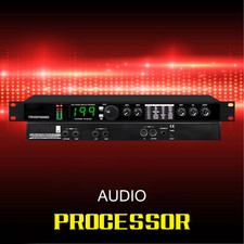 Digital Professional Reverb