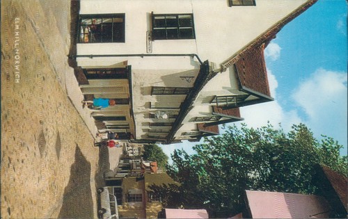 Norwich elm hill - , salmon