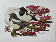 Vintage C.F.Tunnicliffe