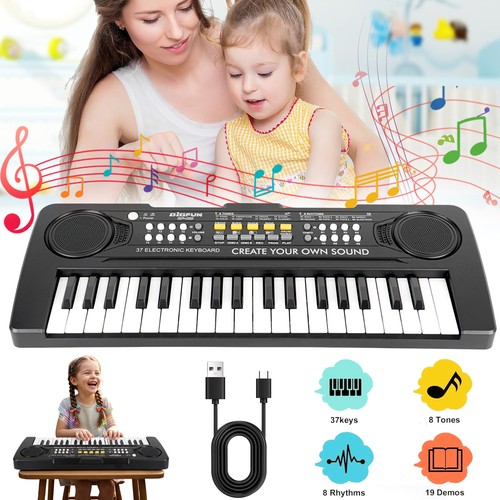Electronic keyboard key - keyboard,