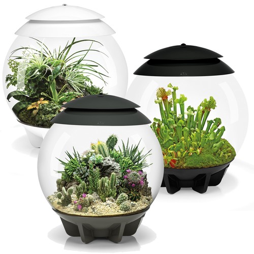 Biorb air 30l terrarium - 30l,