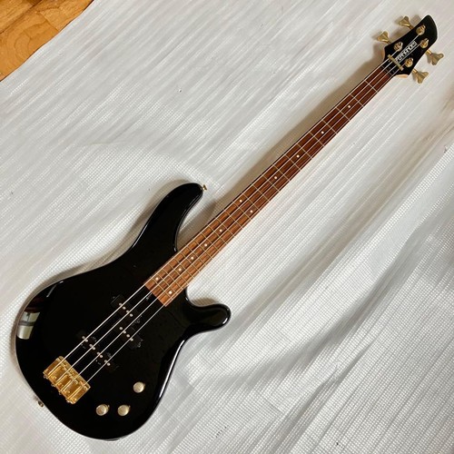 Fernandes type electric - type,