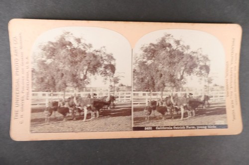 Stereo card view h - stereo,