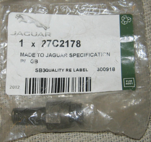 Genuine jaguar type 2 - e,
