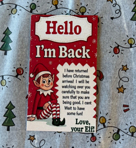 Back elf the shelf - back!, on