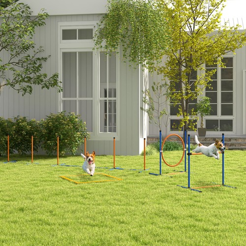 Dog agility training equipment - agility,