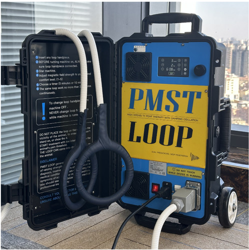 Professional pmst loop emtt - professional,