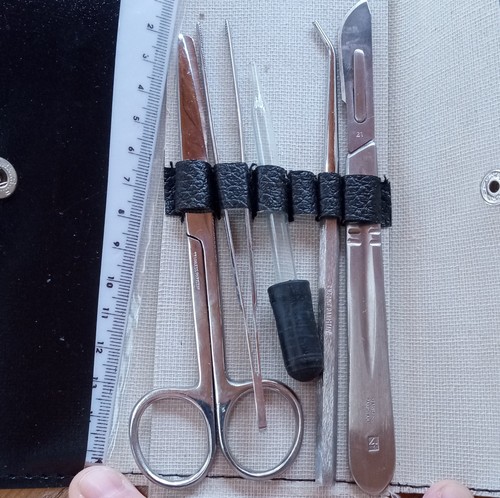 Vintage scientific dissection - vintage,