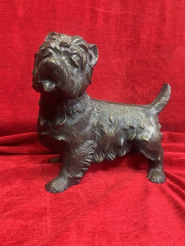 Large bronze west highland - bronze,