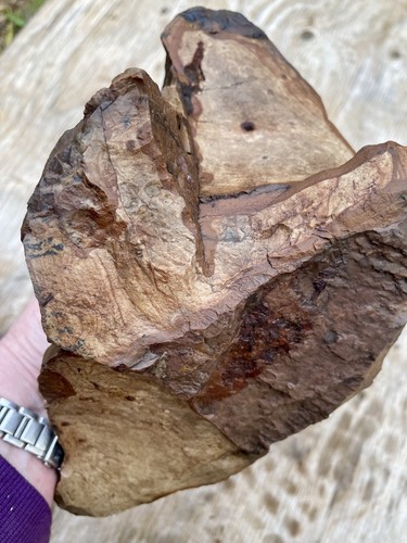 Biggs picture jasper - lb,