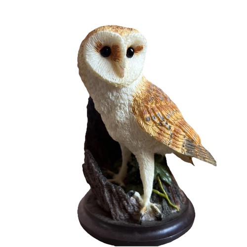 Barn owl the country - owl,