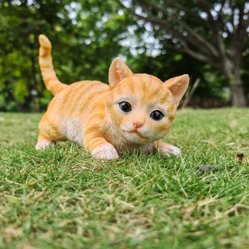 Cute orange tabby - cute,