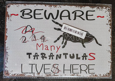 Beware Many Tarantulas Live