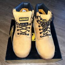 Dewalt Apprentice Honey Safety