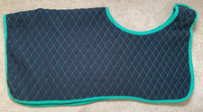 COLIN COOK THOROUGHBRED CLOTHING blue and green thermatex exercise rug